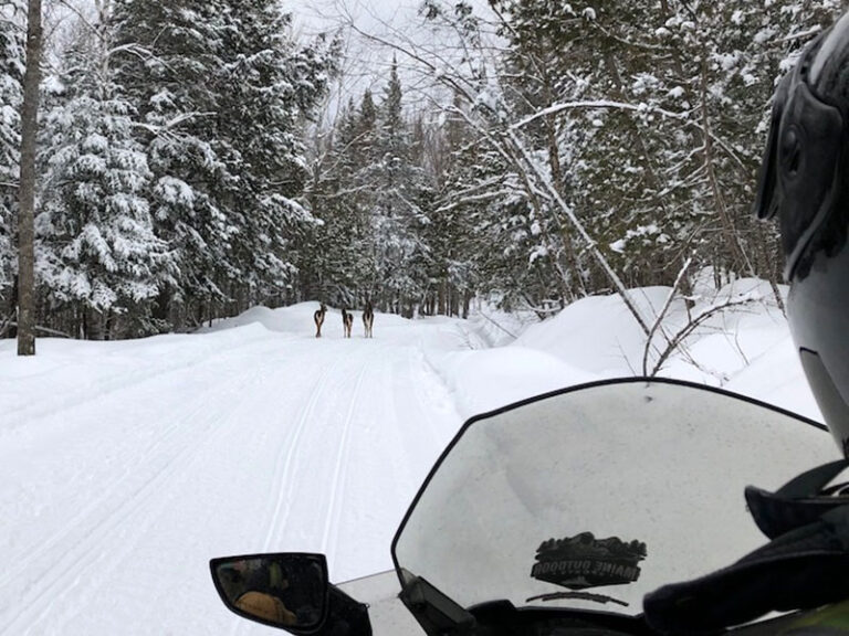 Maine Snowmobile Tour The Forks to Flagstafff Lake and Eustis